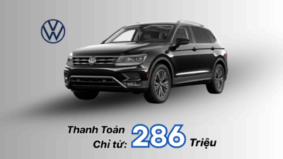 Tiguan Luxury